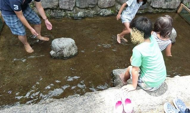 日名倉養魚場８　つかみ取り